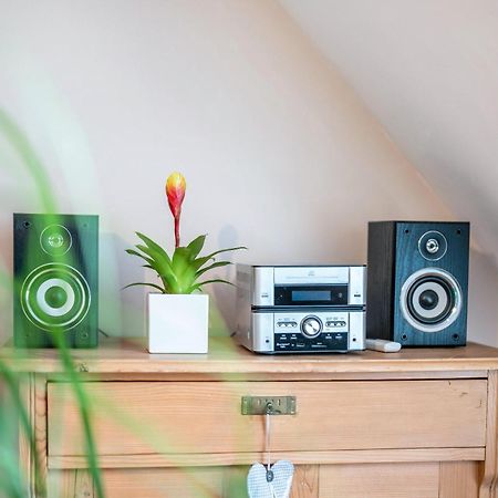 האוסאך Ferienwohnung Burgblick מראה חיצוני תמונה